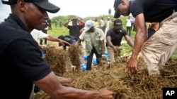 FILE - Officials from the Liberia Drug Enforcement Agency prepare to burn a heap of recently seized marijuana, in Paynseville, on the outskirts of Monrovia, Liberia, Friday, Nov. 15, 2013. 