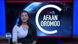 Tamsaasa Guyaadhaa Guyyaa
