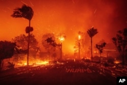 Kawasan Los Angeles merupakan zona berisiko tinggi bagi karhutla, mengingat kemarau parah dan angin kencang Santa Ana (foto: ilustrasi).