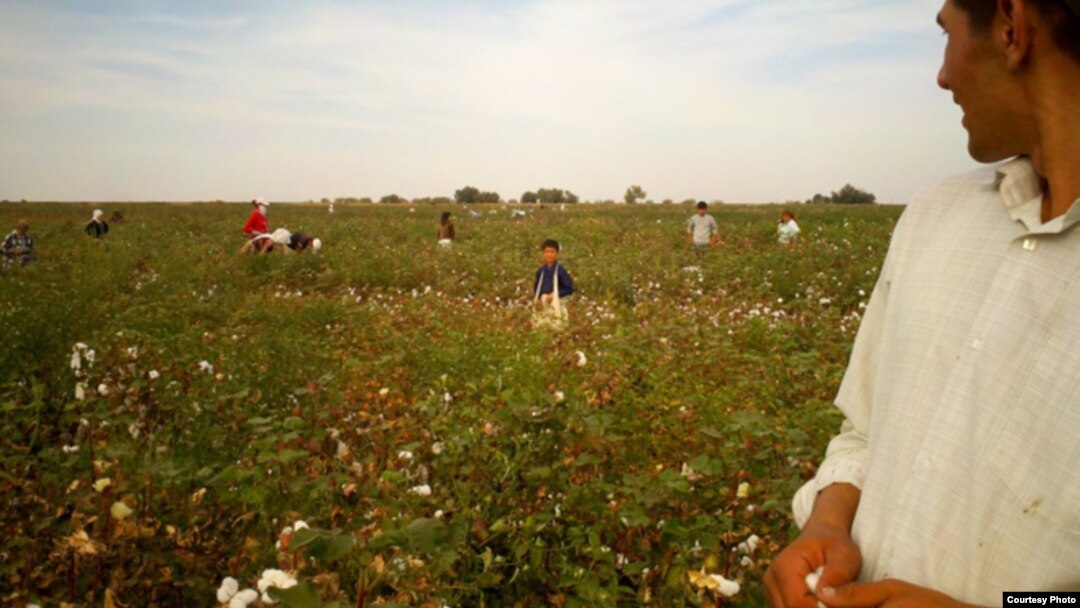 Jizzax viloyati, Komil tumani, 25-sentabr, 2012 (Manba: Uzbek-German Forum for Human Rights)