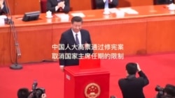 中国人大代表谈修宪取消主席任期限制