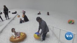 Chicago Beach Keeps Locals Warm During Polar Vortex