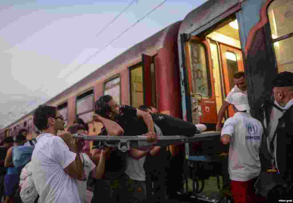 Migrants Macedonia-Greek Border, Gevgelija 6 September 24, 2015 