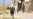 Syrian Troops Positioned for Aleppo Offensive