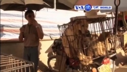 Manchetes Mundo 22 Junho 2015