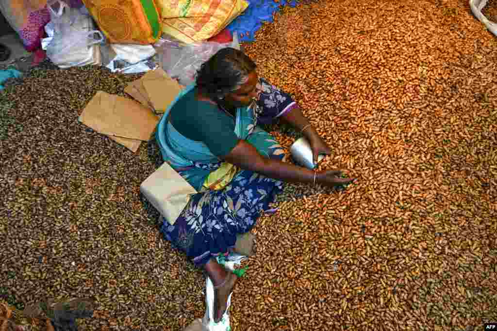 A street vendor sells peanuts during 'Kadalekai Parishe', the annual, and oldest known, peanut fair in Bangalore, India, Nov. 25, 2019.