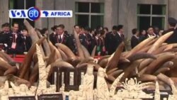 Manchetes Africanas 6 Janeiro 2014