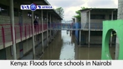 VOA60 Africa- Dozens more elephants die in Zimbabwe after cynide poisoning; Flooding closes schools in Nairobi