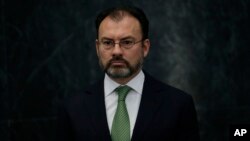 ARSIP – Menteri Hubungan Luar Negeri Meksiko yang baru, Luis Videgray, berdiri dalam sebuah konferensi pers di kediaman resmi presiden di Los Pinos (4/1/2017). Mexico City, Meksiko. (foto: AP Photo/Marco Ugarte, Arsip)