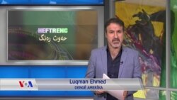 حەوت ڕەنگ 14 ی شەشی 2020