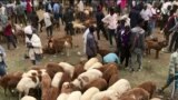 ከምሽቱ 3:00 የአማርኛ ዜና
