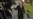 Trump Promotes Moore in Advance of Florida Campaign Rally
