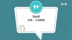 学个词 - tout