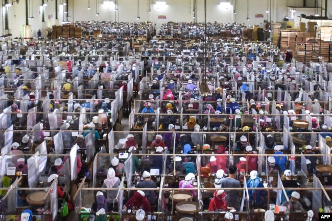 Buruh pabrik rokok tengah melinting tembakau di terminal kerja yang dipisahkan dengan penutup plastik sebagai tindakan pencegahan di tengah pandemi COVID-19, di pabrik rokok Gudang Baru, Malang, Jawa Timur, 11 Juli 2020. (Foto: AMAN ROCHMAN / AFP)