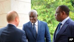 Russia African Union Commission Putin