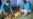 Humanitarian Groups Say Sanctions Impede Aid to North Koreans
