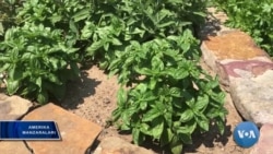 911 - AQShda favqulodda hollarda shu raqamni terasiz