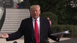 B-Rolls untuk Live: Reaksi Presiden Trump terhadap Dengar Pendapat Pemakzulan
