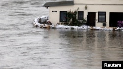 Seorang warga memeriksa karung-karung pasir penahan banjir di Sungai Elbe di kota Magdeburg, Jerman (9/6).
