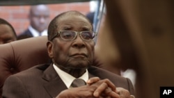 Mwanakomana wevaive mutungamiri wenyika, mushakabvu VatRobert Mugabe, Robert Jnr anonzi ane makomborero emhuri ekuti apinde mune zvematongerwo enyika