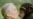Exotic Animals Hunted or Protected American Café November 21 2017