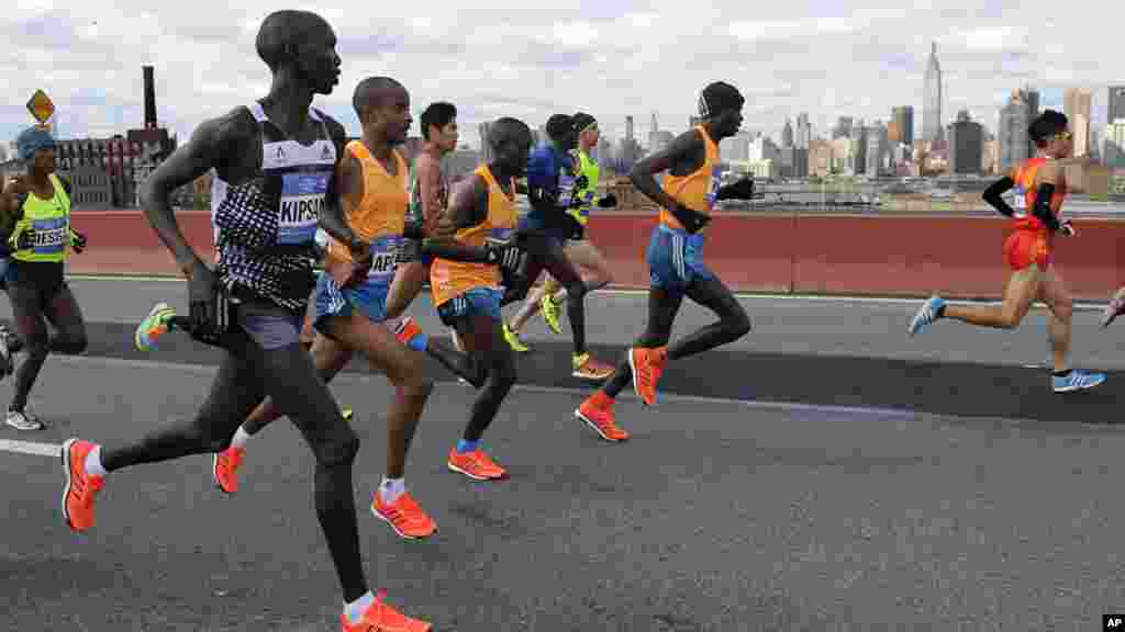 Les coureurs de tête (hommes) traversent le pont Pulaski pour entrer dans le quartier Queens de New York pendant le marathon de New York City, le 2 novembre 2014, à New York. 