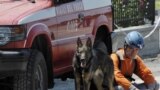 Місто Кавеццо. Пожежник та службовий пес.