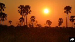 FILE - A sunset in Botswana's Okavango Delta. Trees silhouetted against a bright orange sky lit by a searing white disc is a typical sight for sunsets in the region, a popular destination for animal-watching safaris. 