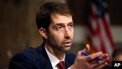 El proyecto de ley RAISE busca mejorar los trabajos de los estadounidense limitando el número de inmigrantes que llegan a EE.UU. La iniciativa está patrocinada en el Senado por Tom Cotton de Arkansas y David Perdue de Georgia.