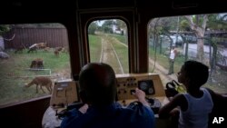 A boy rides next to the engineer of an electric Hershey train in the Casablanca municipality of Havana, Cuba, Aug. 26, 2015.