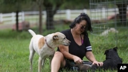 Johanna Fierstein sits with dogs Perseverance, aka "Percy", left and Aspen, at the Selah Carefarm in Cornville, Ariz., Oct. 4, 2022.