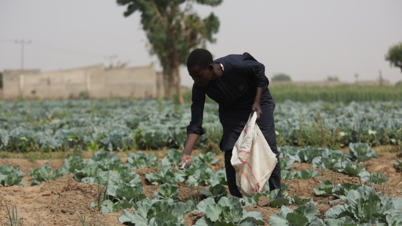 African ministers meet in Uganda to shape 10-year food security, sustainability plan