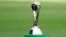 FILE - A view of the trophy displayed on the pitch prior to the final match between Ukraine and South Korea at the U20 World Cup soccer, in Lodz, Poland, Saturday, June 15, 2019.