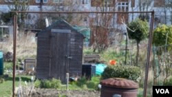 Para aquellos que no disponen de un jardín para toda esta aventura, un balcón, un lavadero o una matera grande se pueden convertir en el sitio del compostaje.