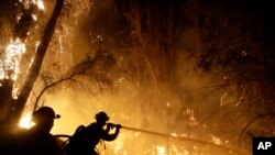 Firefighters battle the Maria Fire, Nov. 1, 2019, in Somis, Calif.