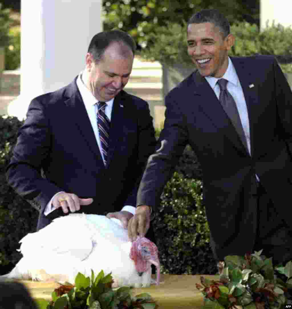 President Barack Obama stands with National Turkey Federation Chairman Yubert Envia as he pets "Apple," the National Thanksgiving turkey during a ceremony to pardon the turkey in the Rose Garden of the White House in Washington, Wednesday, Nov. 24, 2010. 