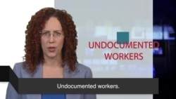 News Words: Undocumented Workers