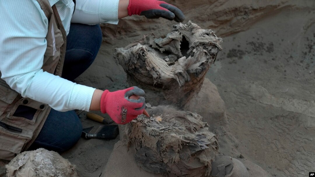 ARCHIVO - La arqueología está permitiendo reconstruir la historia y costumbres de pueblos que habitaron el planeta miles de años atrás. En la foto, un arqueólogo limpia restos de una antigua momia hallada durante excavaciones en Lima, Perú, el 22 de setiembre de 2023. 
