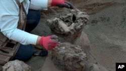 ARCHIVO - La arqueología está permitiendo reconstruir la historia y costumbres de pueblos que habitaron el planeta miles de años atrás. En la foto, un arqueólogo limpia restos de una antigua momia hallada durante excavaciones en Lima, Perú, el 22 de setiembre de 2023. 