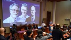 Remise du prix Nobel de médecine à des chercheurs américains