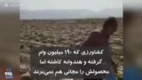 کشاورزی که ۱۹۰ میلیون وام گرفته و هندوانه کاشته اما محصولش را مجانی هم نمی‌برند
