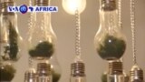 Imurika rya Mbere ry’Urumogi muri Afurika y'Epfo