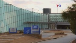 CDC urge vacunación contra influenza