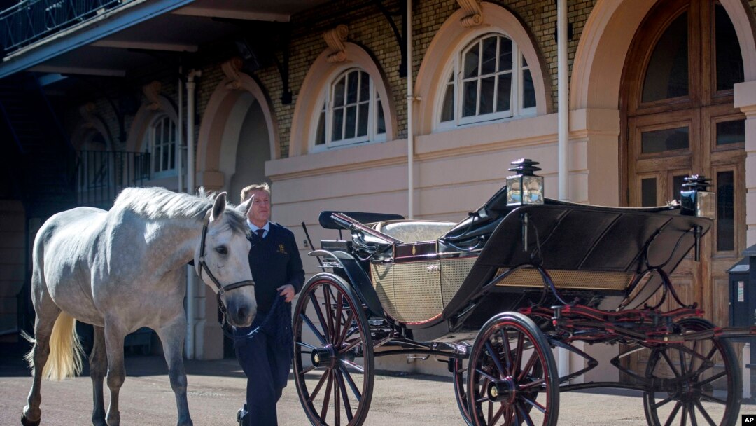 Philip Barnard-Brown, Kusir Senior dari Istal Istana Buckingham, menuntun seekor kuda Windsor Abu-abu satu dari empat kuda yang akan menarik kereta kuda yang akan membawa pasangan pengantin Pangeran Harry dan Meghan Markle, melewati kereta kuda terbuka Ascot Landau, di Istal Kerajaan, Istana Buckingham, Selasa, 1 Mei 2017.