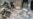 Syrian Govt., Rebels Accuse Each Other on Chemical Weapons
