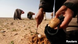 Wêne ji Arşîfê ye