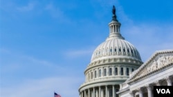 미국 국회의사당 사진 (Credit: Adobe Stock/Judd Irish Bradley)