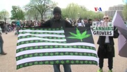 Legalización de la marihuana en EE.UU.