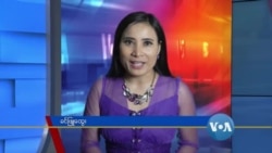 နေ့စဉ် တီဗွီသတင်းလွှာ (၁၁-၁၁-၂၀၂၀) 