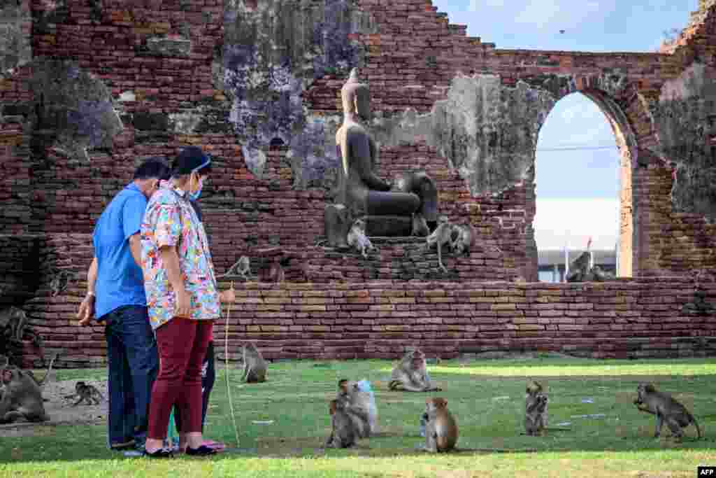 اپنی اسی انفرادیت کی وجہ سے یہ علاقہ سیاحوں میں مقبول ہے۔ کرونا وائرس کی وبا پھیلنے سے قبل یہاں بڑی تعداد میں سیاح آتے تھے اور بندروں کے ساتھ سیلفیاں کھنچوا کر انہیں خوراک دے جاتے تھے۔ لیکن کرونا وائرس کے باعث سیاحوں کی آمد ختم ہوئی تو بندروں کے لیے خوراک کا مسئلہ پیدا ہو گیا۔